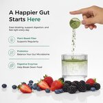 Super Greens Blend - Manufacturer OEM/ODM Organic 10B CFU Probiotics Gut