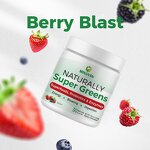Super Greens Blend - Manufacturer OEM/ODM Organic 10B CFU Probiotics Gut