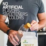 Whey Protein Supplement - Manufacturer ODM/EDM Chocolate Gluten-Free Muscle Recovery