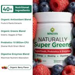 Super Greens Blend - Manufacturer OEM/ODM Organic 10B CFU Probiotics Gut