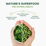 Moringa Capsules - Manufacturer Organic Leaf 92+Nutrients 46Antioxidants Immunity