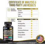 Shilajit Supplement - Manufacturer OEM/ODM 8-in-1 Ashwagandha Ginseng Energy Stress