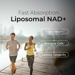 NAD+ Liposomal Drops - Manufacturer OEM/ODM 300mg Cellular Energy Anti-Aging