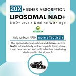 Liposomal NAD+ Capsules - Manufacturer OEM/ODM 1000mg 60Ct Anti-Aging Senior