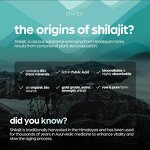 Creatine Gummies - Manufacturer Wholesale Sugar-Free Collagen BCAA Vegan Muscle