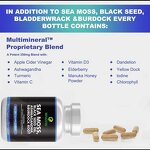 Whey Protein Powder - Manufacturer OEM/ODM Gold Standard 24g Protein Chocolate