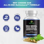 Whey Protein Powder - Manufacturer OEM/ODM Gold Standard 24g Protein Chocolate