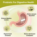 Women's Probiotic Capsules - Manufacturer OEM/ODM Custom Organic Digestive Health