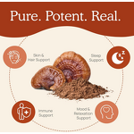 Reishi Extract Capsules - Manufacturer OEM/ODM Ganoderma Spore Immune Support