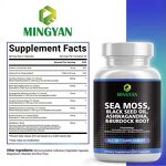 Whey Protein Powder - Manufacturer OEM/ODM Gold Standard 24g Protein Chocolate