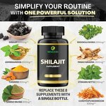Shilajit Sea Moss Capsules - Manufacturer Private Label 1000mg Organic All-in-One