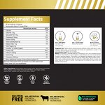 Whey Protein Supplement - Manufacturer ODM/EDM Chocolate Gluten-Free Muscle Recovery