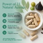 GLP-1 Supplement - Manufacturer GMP Weight Loss Appetite Suppressant Fat Burner