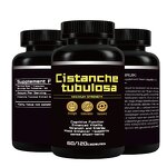 Cistanche Extract Capsules Manufacturer - OEM Private Label Vegan 500mg Echinacoside