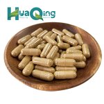 Cistanche Extract Capsules Manufacturer - OEM Private Label Vegan 500mg Echinacoside