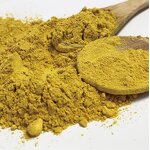 Dihydroberberine Powder Manufacturer - HUAQING HPLC 98% Cas 483-15-8