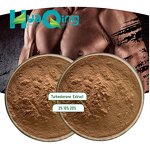 Turkesterone Extract Manufacturer - Ajuga Turkestanica Powder