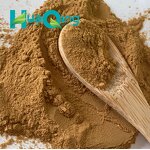 Turkesterone Extract Manufacturer - Ajuga Turkestanica Powder