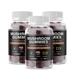 Mushroom Gummy Supplement Manufacturer - Organic Vegan with Lion's Mane Reishi