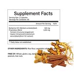 Berberine HCL Capsules Manufacturer - HUAQING OEM 1500mg with Cinnamon Turmeric