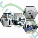 Pygeum Africanum Extract Manufacturer - 10:1 for Prostate Health Beta-Sitosterol