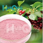 Acerola Powder Manufacturer - Bulk Private Label & OEM Custom Vitamin C