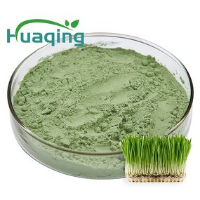 Wheat Grass Powder Manufacturer - Hot Sale Customized Organic Superfood