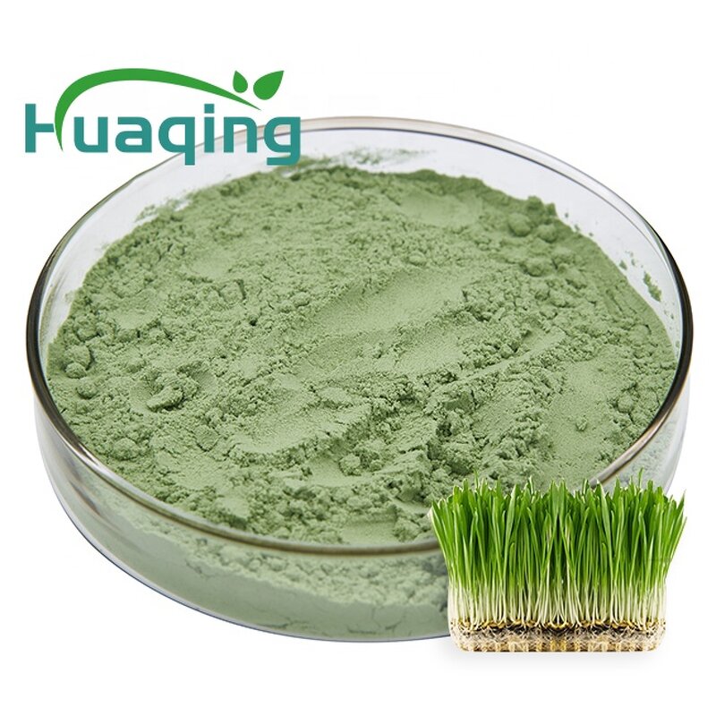 Wheat Grass Powder Manufacturer - Hot Sale Customized Organic Superfood