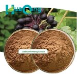 Ginseng Extract Manufacturer - Siberian & Korean Red Powder