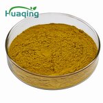Coptis Chinensis Extract Manufacturer - Custom 10:1/50:1 Berberine 98%