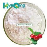 Bearberry Leaf Extract Manufacturer - Wholesale Bulk Best Price Powder