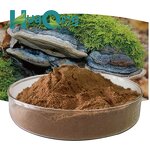 Phellinus Igniarius Extract Manufacturer - Organic 10:1 20:1 for Immune Support