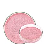 Acerola Cherry Powder Manufacturer - Freeze Dried Organic 17% Vitamin C