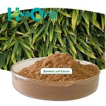 Bamboo Leaf Extract Manufacturer - Chinese Supplier Wholesale Powder