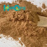 Fadogia Agrestis Extract Manufacturer - High Quality Adogia Stem Powder