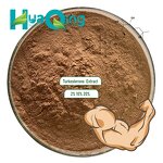 Turkesterone Extract Manufacturer - Ajuga Turkestanica Powder