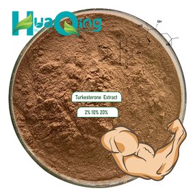 Turkesterone Extract Manufacturer - Ajuga Turkestanica Powder