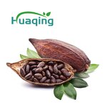 Cocoa Powder Manufacturer - Wholesale Cocoa Bean Powder
