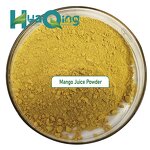 Fruit Juice Powder Manufacturer - OEM Custom Stand up Pouches for Mango