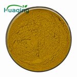 Coptis Chinensis Extract Manufacturer - Custom 10:1/50:1 Berberine 98%