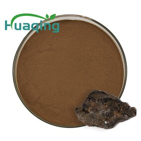 Shilajit Extract Manufacturer - Himalayan 98% Fulvic Acid Capsules & OEM