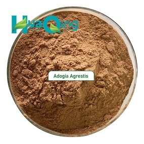 Fadogia Agrestis Extract Manufacturer - High Quality Adogia Stem Powder