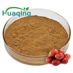 Camu Camu Powder Manufacturer - Freeze-Dried 50:1 Extract 60x Vitamin C
