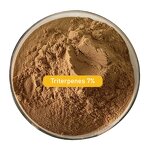 Reishi Mushroom Extract Manufacturer - Organic 30% 50% Polysaccharides GMP