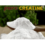Creatine Monohydrate Powder Manufacturer - High Quality Food Supplement Bulk