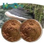 Phellinus Igniarius Extract Manufacturer - Organic 10:1 20:1 for Immune Support