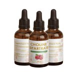 Choline Liquid Drops Manufacturer - HUAQING OEM Choline Bitartrate for Brain