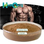 Turkesterone Extract Manufacturer - Ajuga Turkestanica Powder