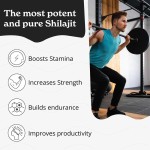 In Stock Food Grade Resin Shilajit with Bilberry Extract Vitamin OEM Brand