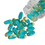 Moss Vitamin B Biotin Collagen Vegan Black Seed Oil Sea Moss Gummies Bear